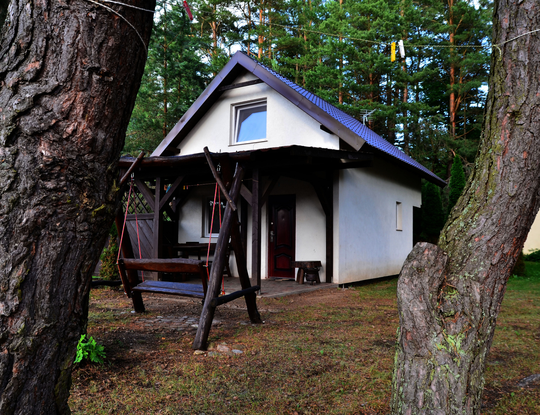 Domek 3 — widok między sosnami z huśtawką